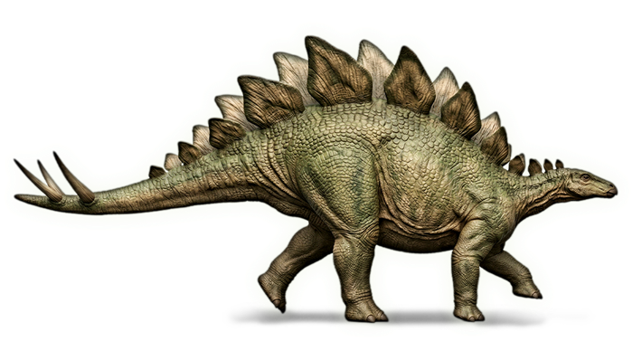 ステゴサウルス